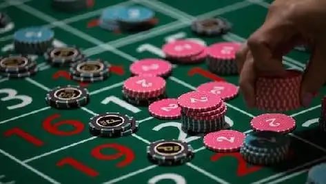 salm88 Taruhan Olahraga statistik live dan pasar taruhan beragam